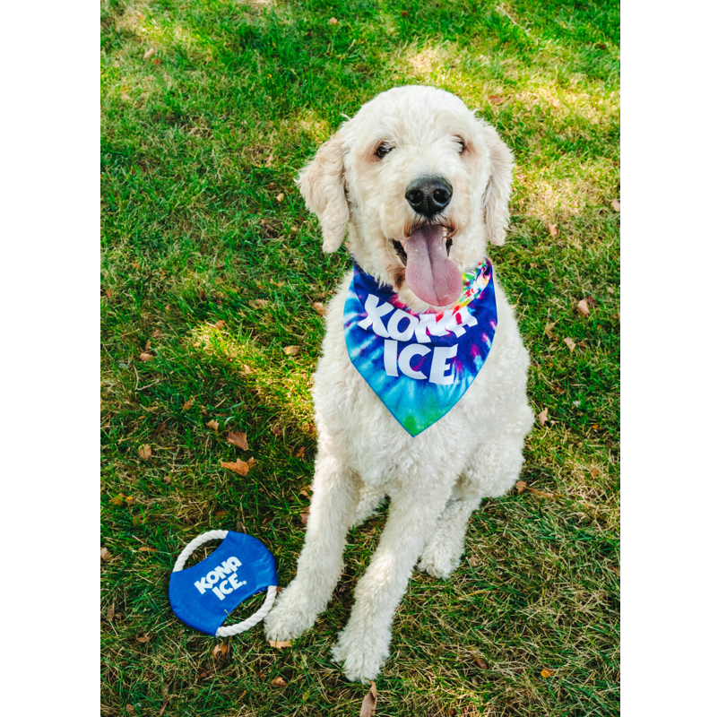 Kona Ice Dog Bundle